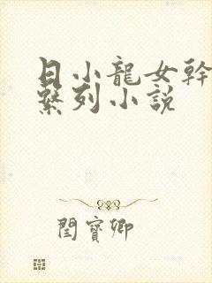 日小龙女干黄蓉系列小说