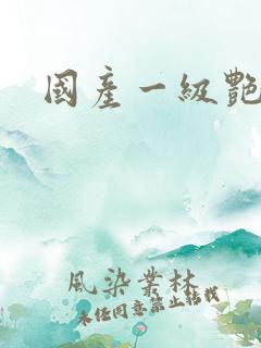 国产一级艳情片