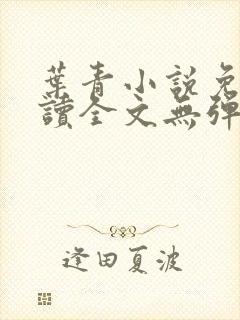 叶青小说免费阅读全文无弹窗