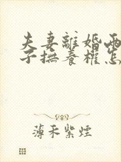 夫妻离婚两岁孩子抚养权怎么判定