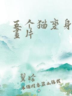 五个猫变身的动画片