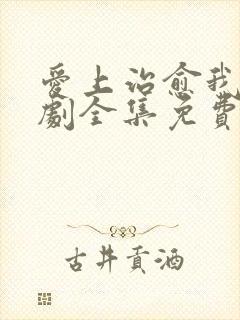 爱上治愈我电视剧全集免费