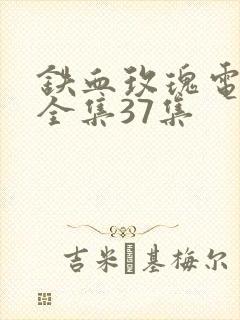 铁血玫瑰电视剧全集37集