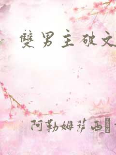 双男主破文海棠