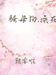 骚母狗,操死你