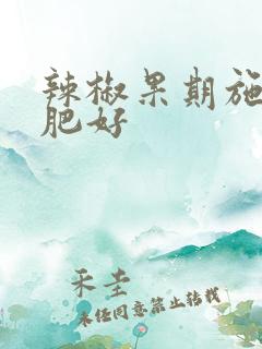 辣椒果期施什么肥好