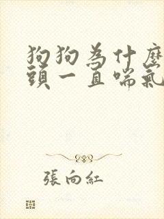 狗狗为什么吐舌头一直喘气