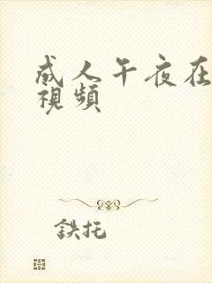 成人午夜在线小视频