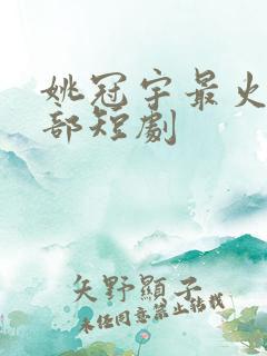 姚冠宇最火的十部短剧