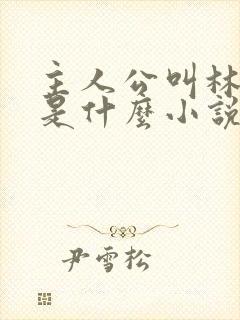 主人公叫林峰的是什么小说