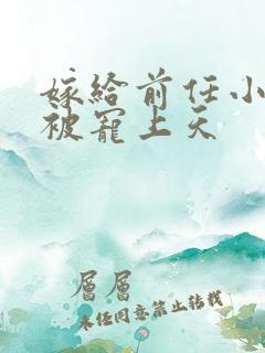 嫁给前任小叔后被宠上天