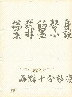 总裁的替身前妻叶非墨小说