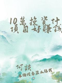 10万投资什么项目好赚钱