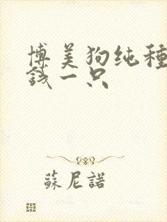 博美狗纯种多少钱一只