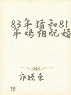 83年猪和81年鸡相配婚姻如何