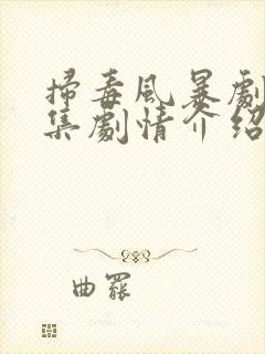 扫毒风暴剧情分集剧情介绍电视猫