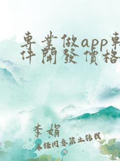 专业做app软件开发价格