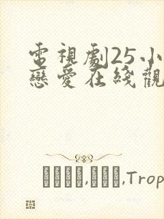 电视剧25小时恋爱在线观看免费全集