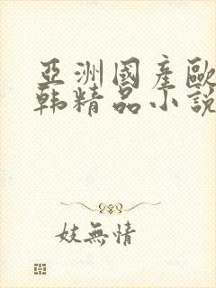 亚洲国产欧美日韩精品小说