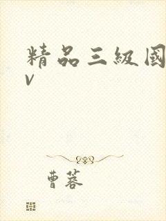 精品三级国产av