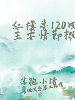 红楼梦120回主要情节概括