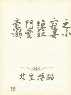 豪门绝宠之峥少溺爱狂妻小说