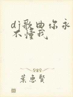 dj歌曲你永远不懂我