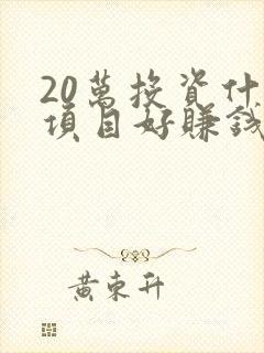 20万投资什么项目好赚钱