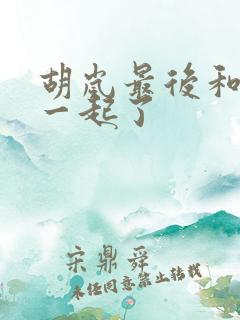 胡岚最后和谁在一起了