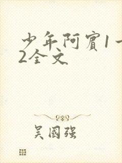 少年阿宾1一72全文