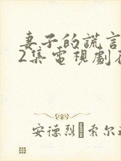 妻子的谎言第52集电视剧在线观看