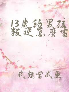 13岁的男孩子叛逆怎么处理