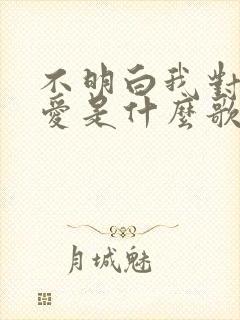 不明白我对你的爱是什么歌
