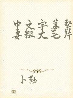 中文字幕紧缚人妻粗大毛片