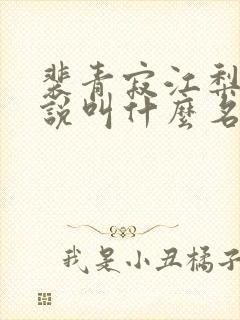 裴青寂江梨初小说叫什么名字