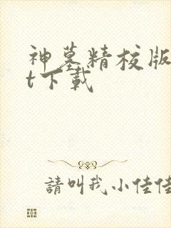 神墓精校版txt下载