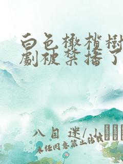 白色橄榄树电视剧被禁播了