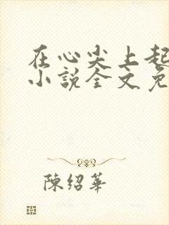在心尖上起舞的小说全文免费