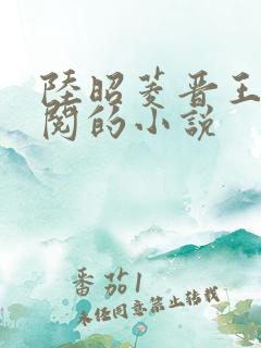 陆昭菱晋王周时阅的小说