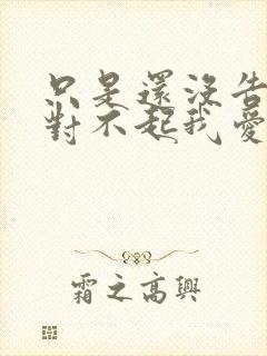只是还没告诉你对不起我爱你歌词