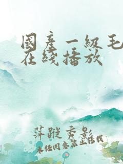 国产一级毛不卡在线播放
