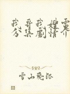 我哥我嫂电视剧分集剧情介绍