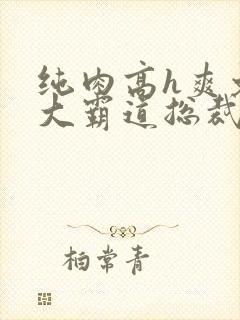 纯肉高h爽文粗大霸道总裁