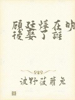 顾廷烨在明兰死后娶了谁