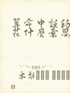 算命中说的白桃花什么意思