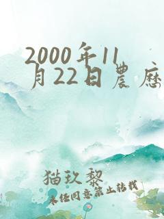 2000年11月22日农历生辰八字