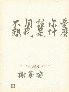 不用说你爱我你想我是什么歌