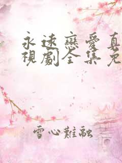 永远恋爱真美电视剧全集免费观看