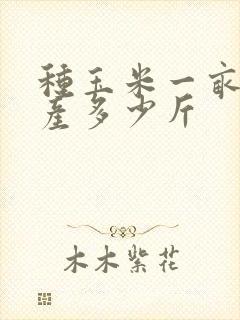 种玉米一亩地能产多少斤