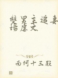双男主追妻火葬场虐文